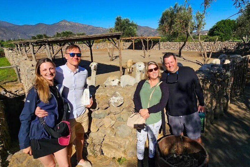 Santiago: Valparaiso, Viña del Mar & Casablanca Wine Tour 5