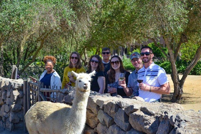 Santiago: Valparaiso, Viña del Mar & Casablanca Wine Tour 5