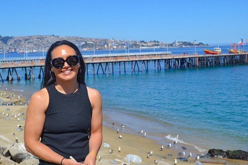 Santiago: Valparaiso, Viña del Mar & Casablanca Wine Tour 2