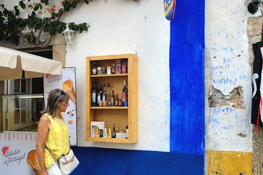 Tour-Transfer to Porto. Visit Nazaré Aveiro from Lisbon/Cascais 2
