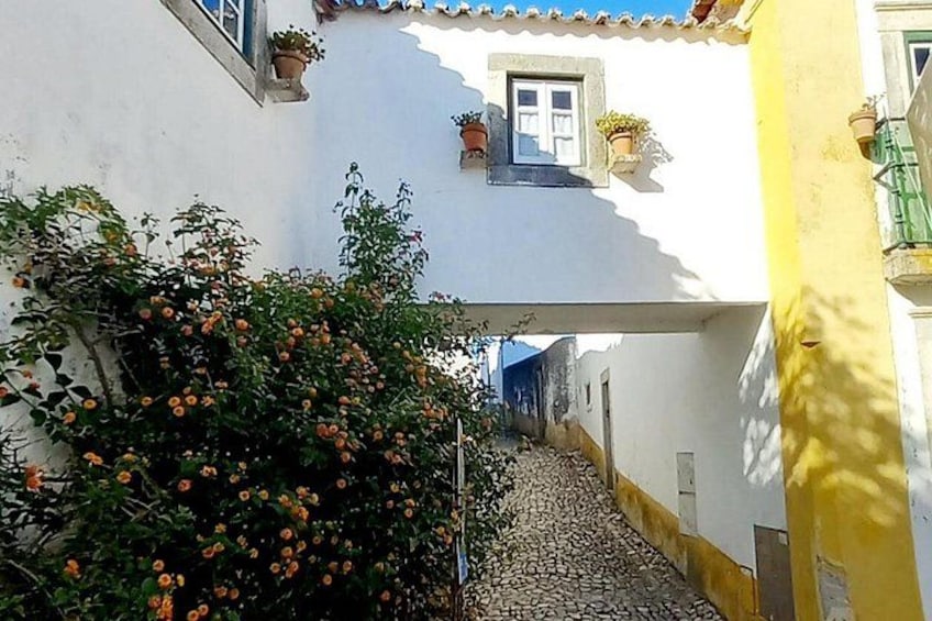 Tour-Transfer to Porto. Visit Nazaré Aveiro from Lisbon/Cascais 3