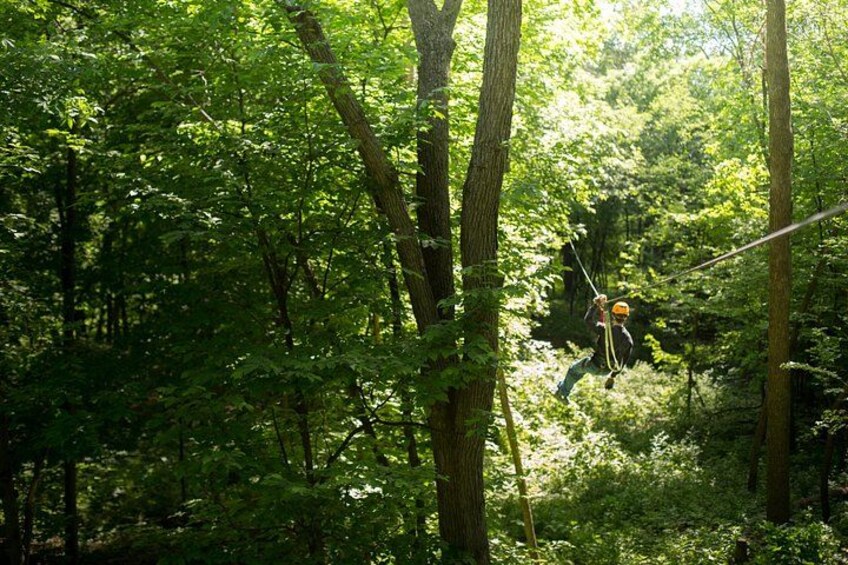 En person hänger i luften, fastspänd i en vajer och åker nedför en brant sluttning genom en tät skog. 2