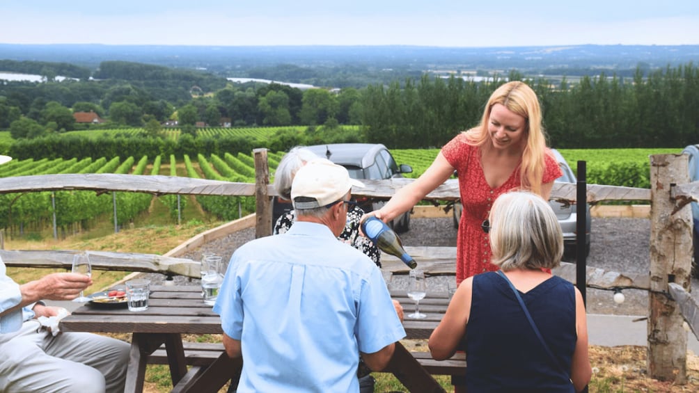 Picture 3 for Activity Kent: Yotes Court Vineyard Tour and Tasting 2