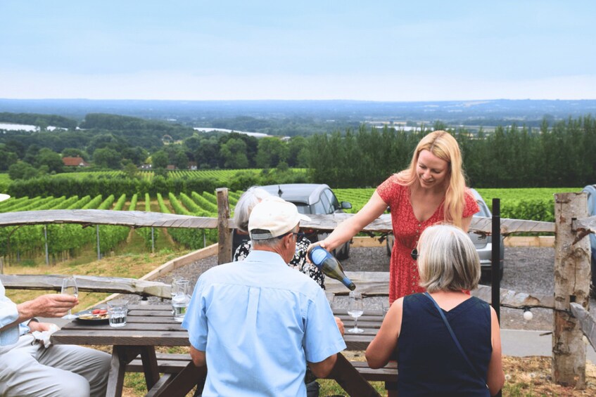 Un groupe de personnes est assis à une table de pique-nique dans un vignoble, profitant d’une vue panoramique sur la campagne. 2