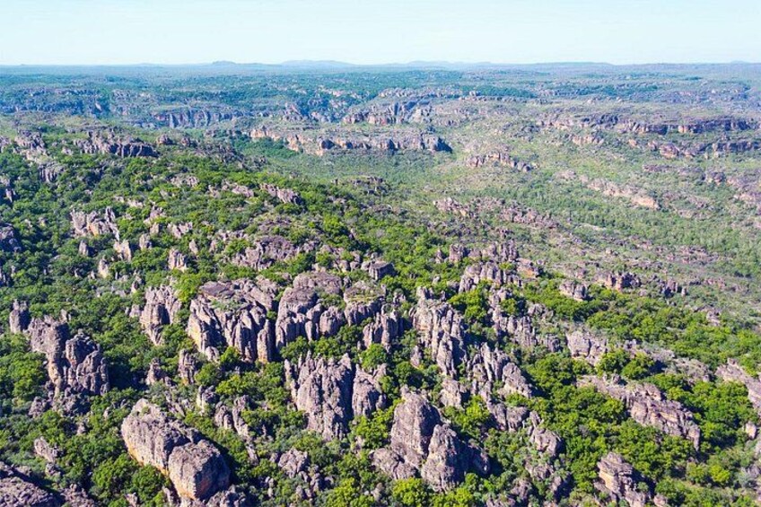 Jabiru 30 minute Scenic Flight 4