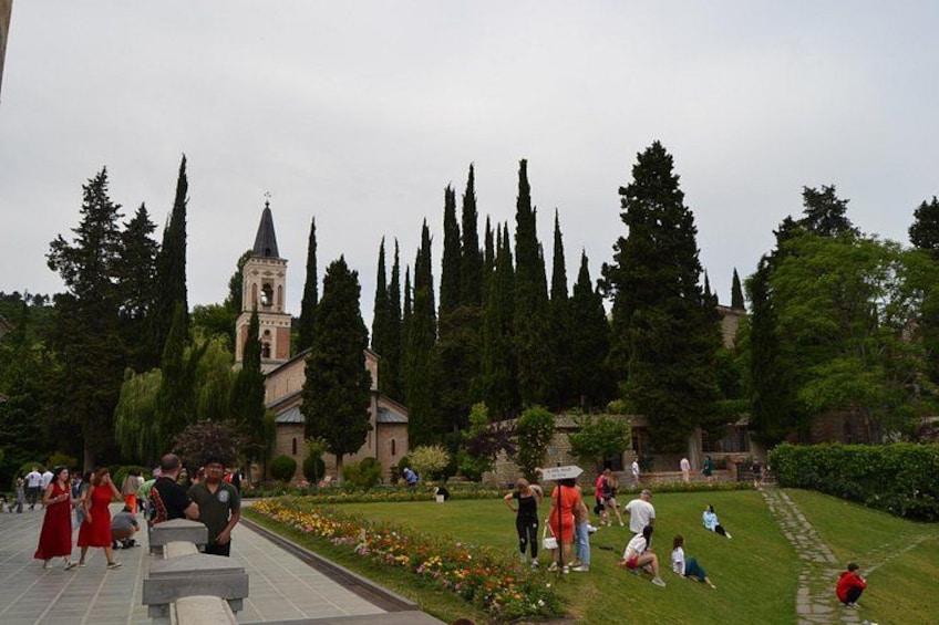 Land of the Sun Full Day Wine and Grapes Tour in Kakheti 5