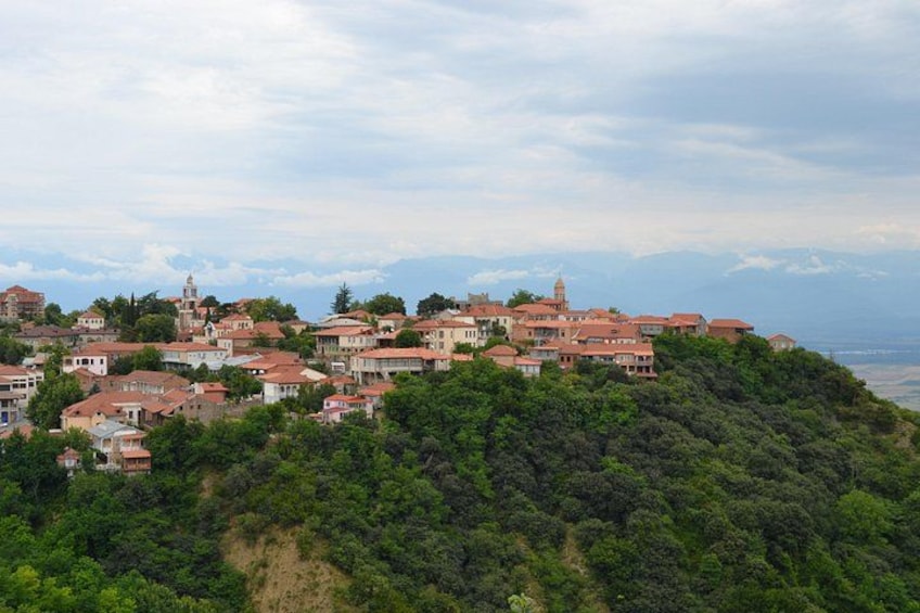 Land of the Sun Full Day Wine and Grapes Tour in Kakheti 4