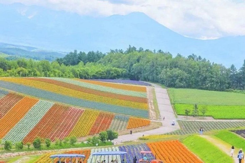 walk among the colors 2