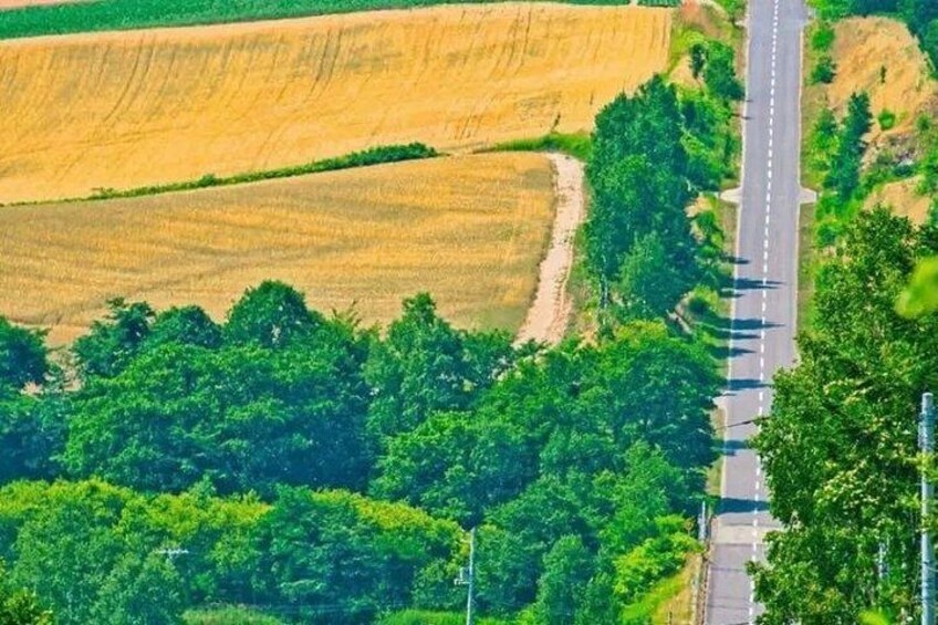 Road to the roller coaster that brings visual impact 3