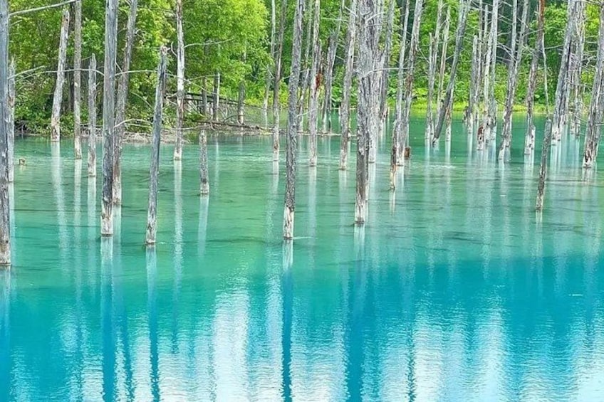 The pool water presents a beautiful Tiffany blue 3