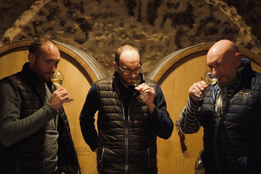 Three men tasting wine in a cellar with wooden barrels. 2