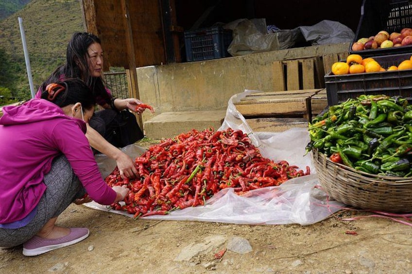 Two people sorting red chili peppers on a dirt ground with a basket of green peppers nearby. 5