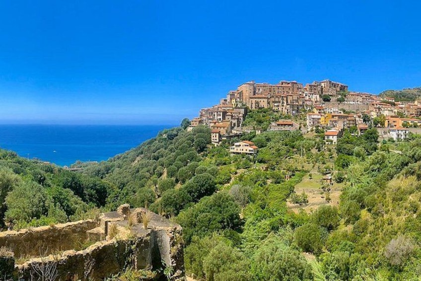 Panoramic view of Pisciotta with the sea in the background. 5