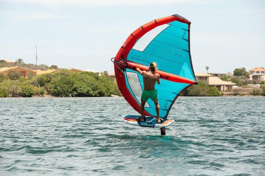 A person windsurfing on a body of water with a red and blue sail, surrounded by greenery and buildings in the background. 1