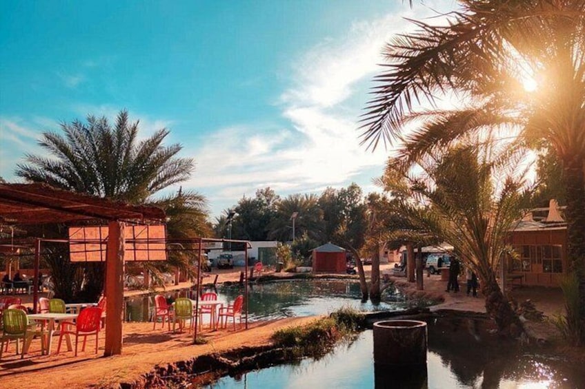 Una zona junto al río con un pequeño muelle para barcos, palmeras y un edificio de techo rojo. 2