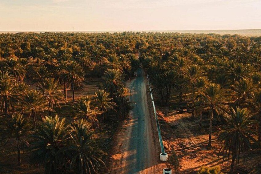 Private Sunset and Dinner Tour in Ksar Hallouf 5