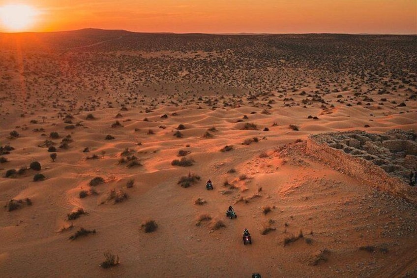 Paisaje desértico con dunas de arena y vegetación escasa al atardecer. 4