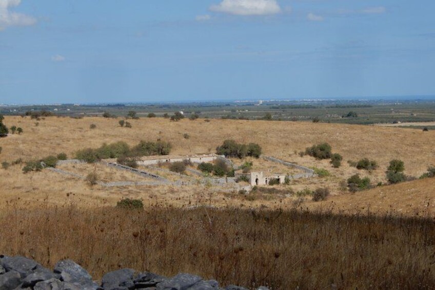 A dry, grassy field with scattered trees and a few buildings in the distance. 2