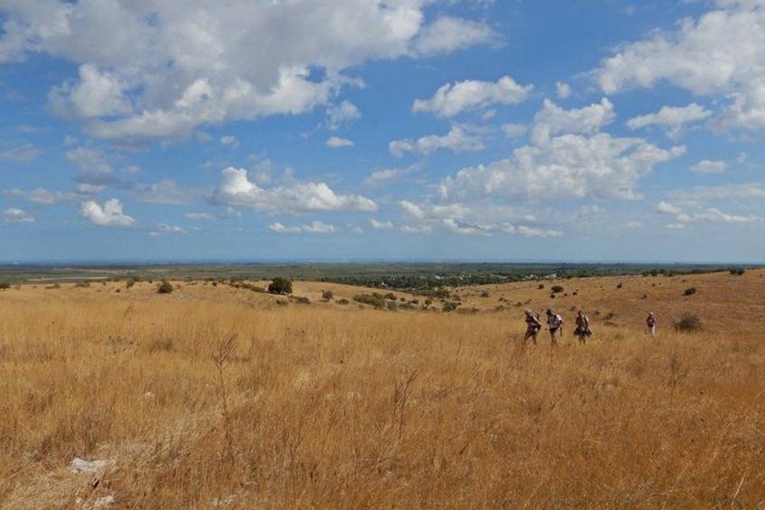 A group of people walking in a dry grassland with a clear sky. 1