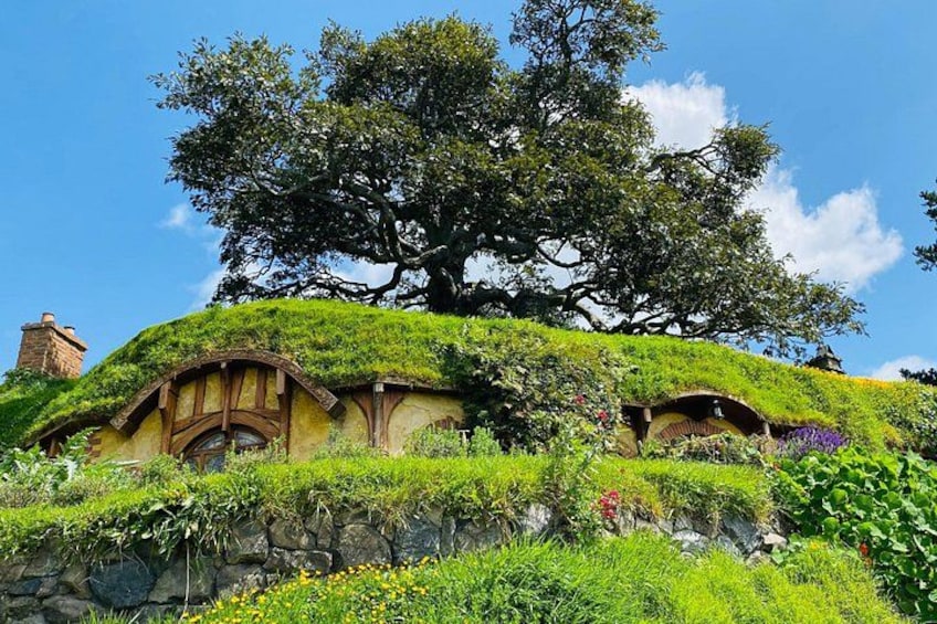 Small Group Hobbiton Movie Set from Tauranga 1