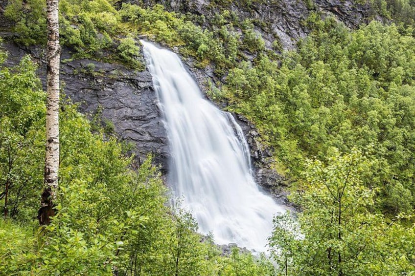 Et vandfald styrter ned ad en klippe omgivet af frodig vegetation. 4