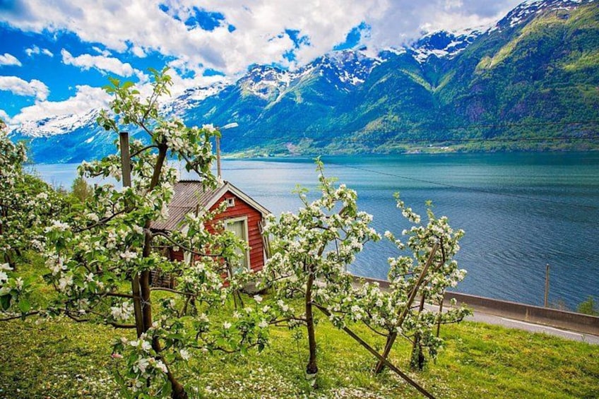 En rød hytte ved en sø med bjerge i baggrunden. 3