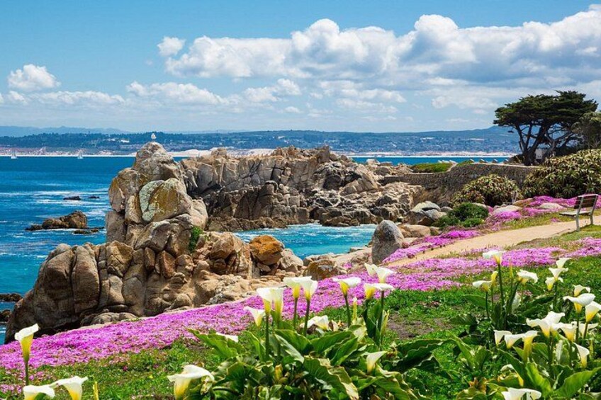 Private Tour Big Sur McWay Falls California Coast 3