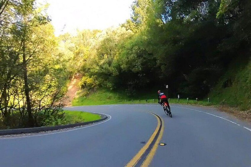 San Francisco to Muir Woods Cycling Tour 5