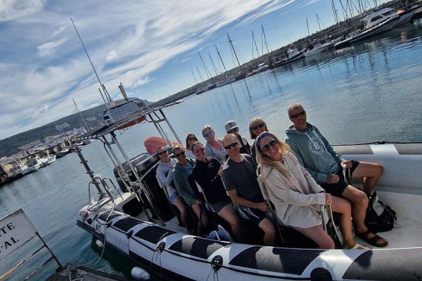 Dolphin Observation - Sesimbra - Authentic Experience 3