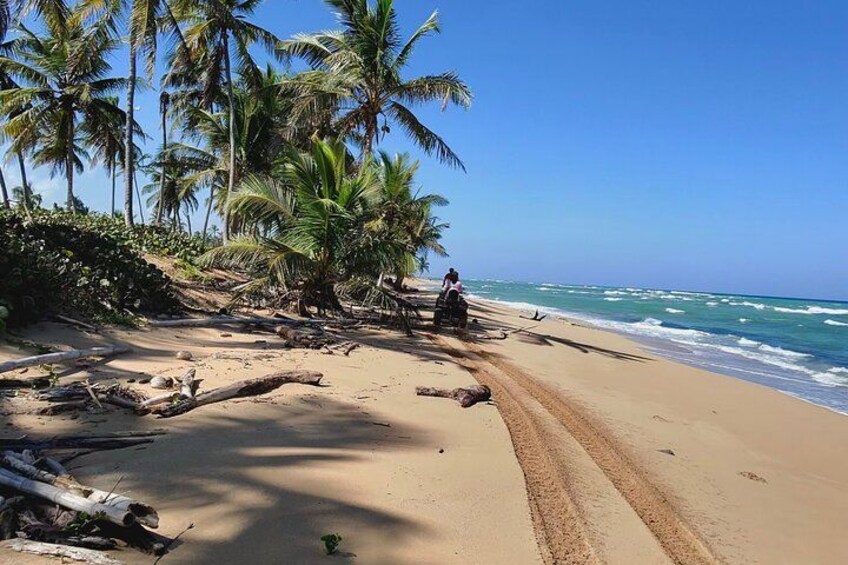 Small Group Exclusive 4x4 ATV Punta Cana: Jungle & Wild Beaches! 2