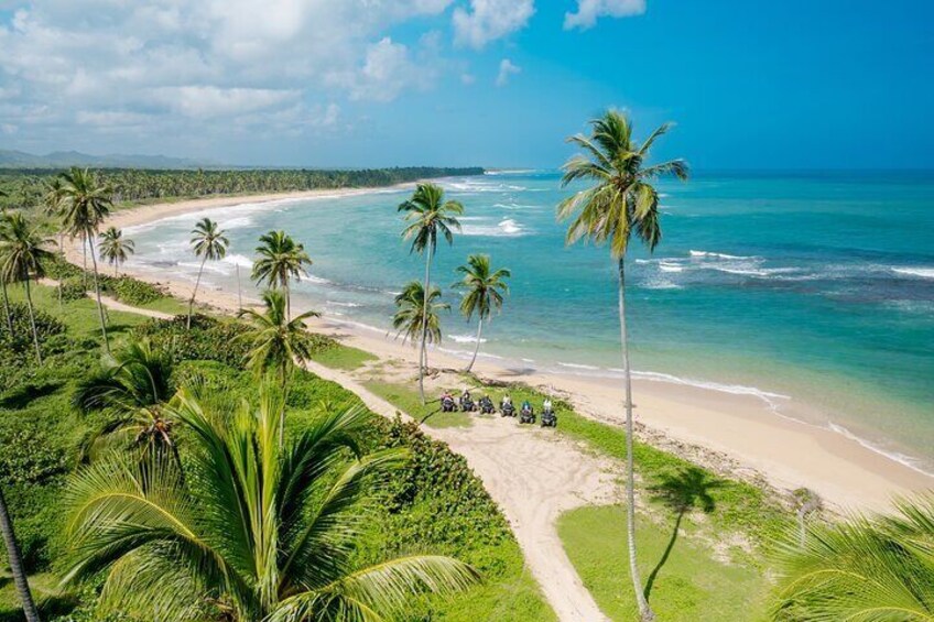 A beach with palm trees, a sandy shore, and a clear blue ocean. 3