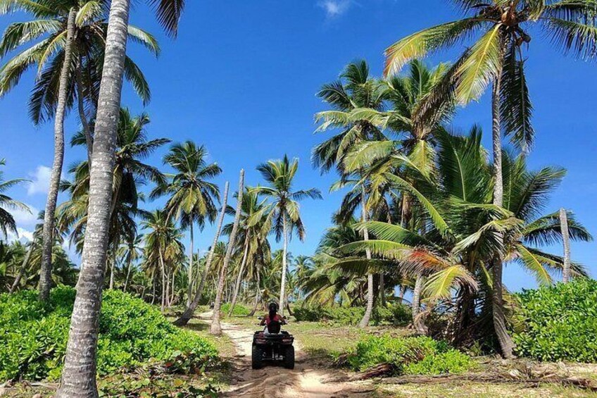 Small Group Exclusive 4x4 ATV Punta Cana: Jungle & Wild Beaches! 5