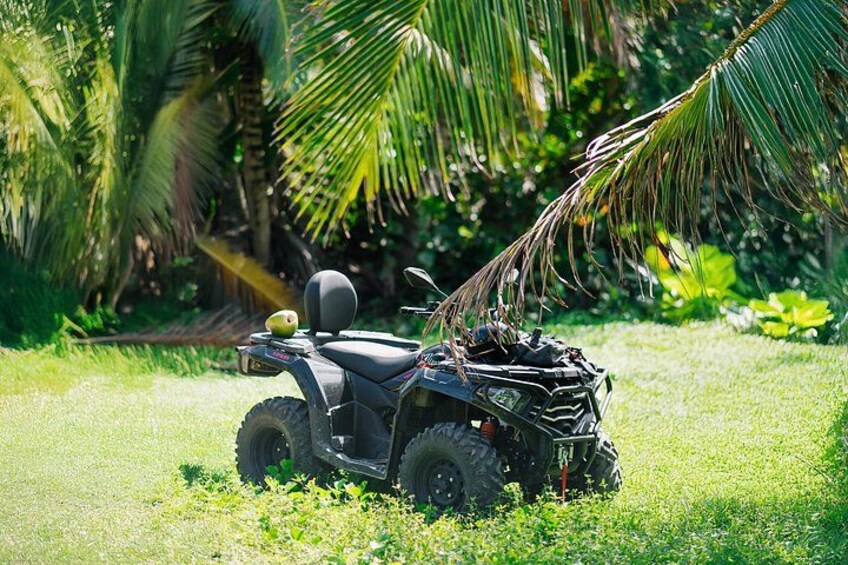 Small Group Exclusive 4x4 ATV Punta Cana: Jungle & Wild Beaches! 3