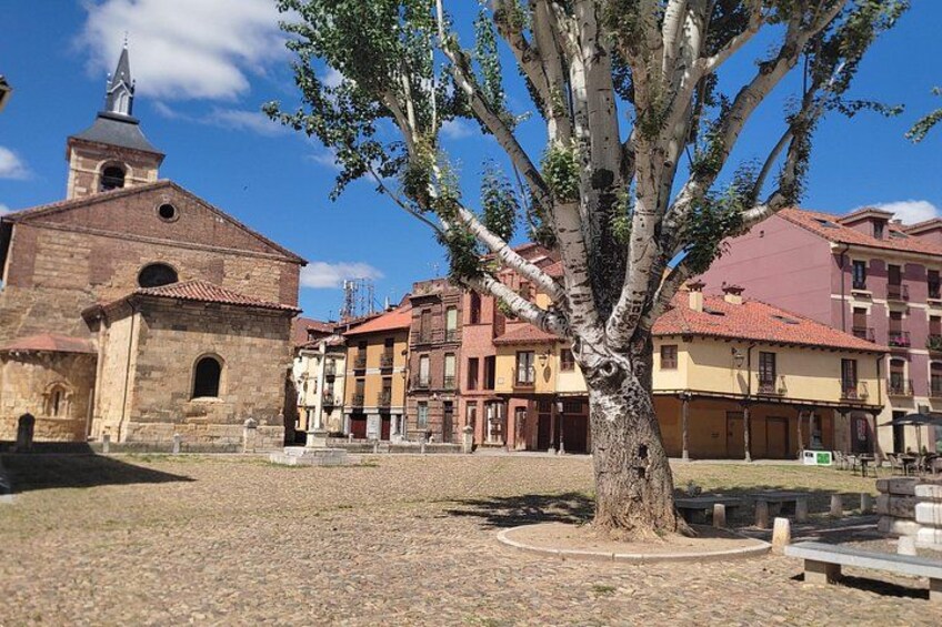 Un bâtiment historique doté d’un clocher, un grand arbre au premier plan et des immeubles résidentiels aux couleurs vives en arrière-plan. 1