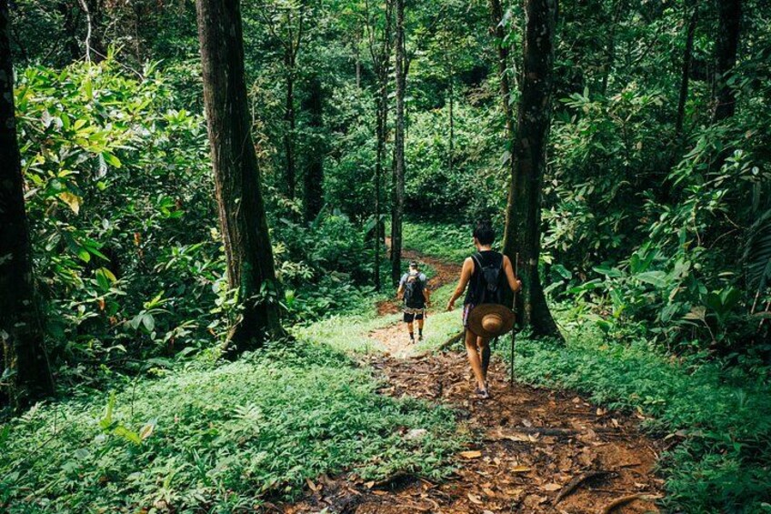 The 2 hours Hike in the Jungle 4
