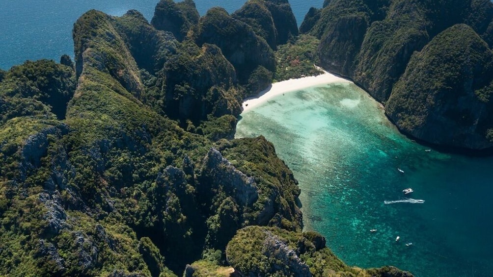 Paesaggio costiero con fitta vegetazione verde e una spiaggia di sabbia bianca. 2