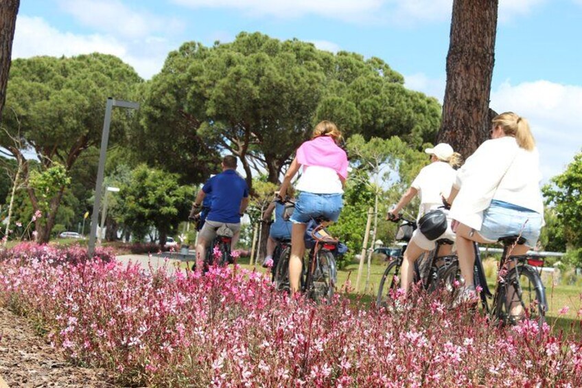 En grupp människor som cyklar i en park med träd och rosa blommor. 3