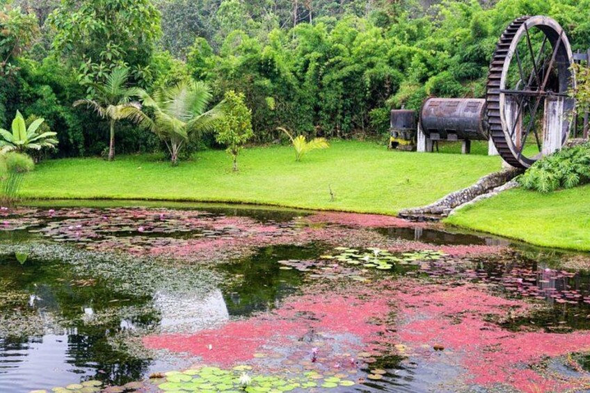 Eco-Park Recinto del Pensamiento Tour 5
