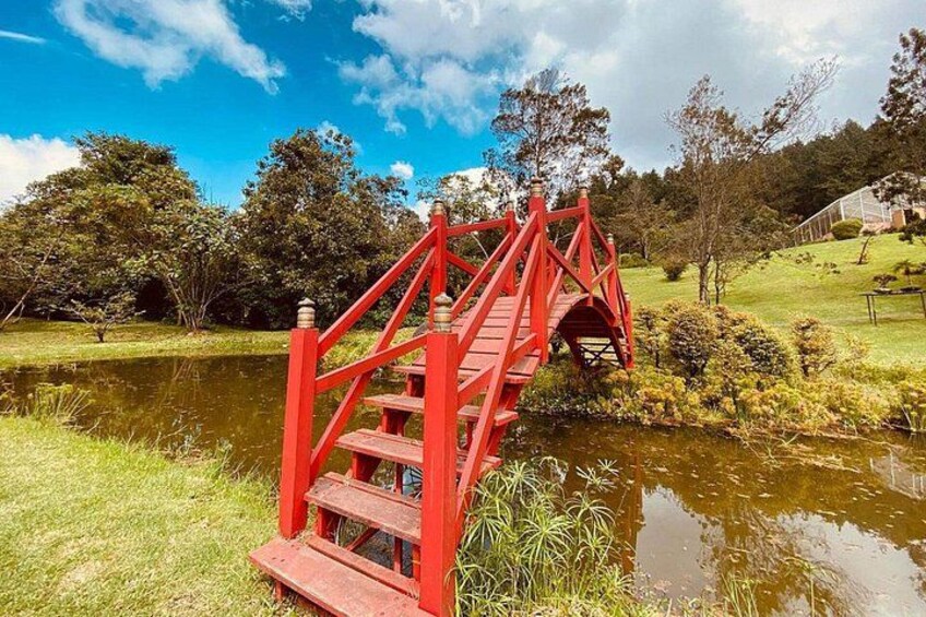 Eco-Park Recinto del Pensamiento Tour 4