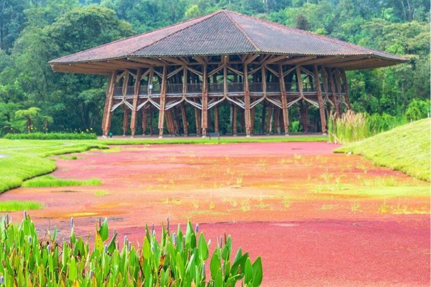 Eco-Park Recinto del Pensamiento Tour 2
