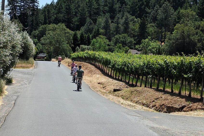 Full Day Guided Electric Bike Wine Tasting Tour with Lunch 4