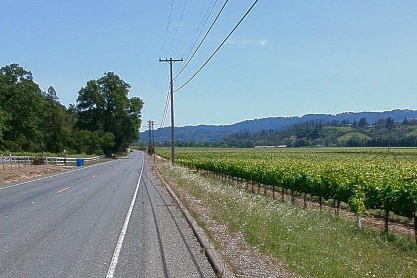 Full Day Guided Electric Bike Wine Tasting Tour with Lunch 3