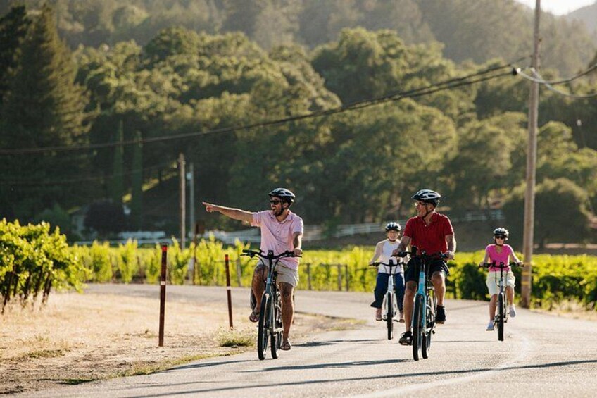 Full Day Guided Electric Bike Wine Tasting Tour with Lunch 1