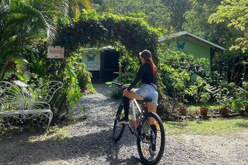 A person riding a bicycle on a gravel path surrounded by lush greenery and a butterfly garden. 1