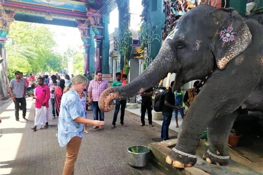 An elephant with decorative paint on its trunk and legs, standing on a platform with people around it. 4