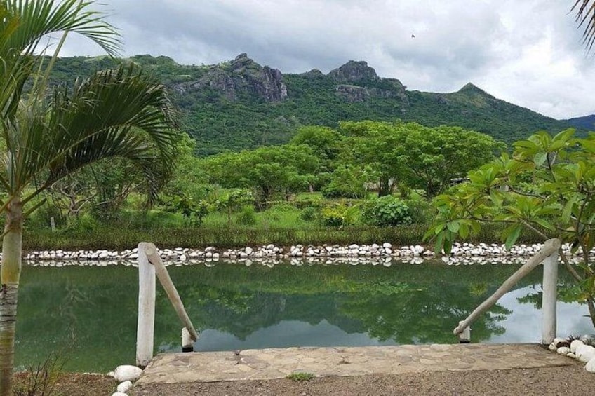 A calm lake with a rocky shoreline, surrounded by lush greenery and a mountain in the background. 1
