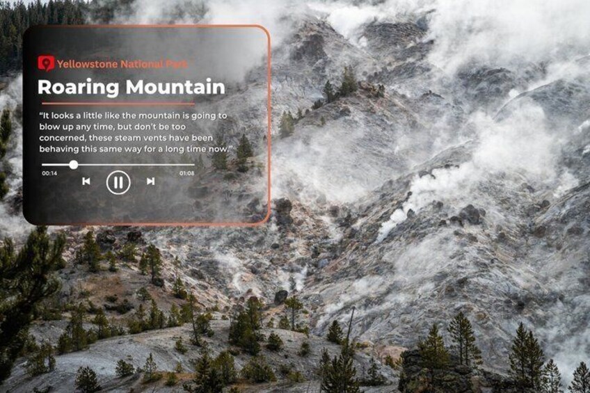 Self-Guided Audio Driving Tour in Yellowstone National Park 4