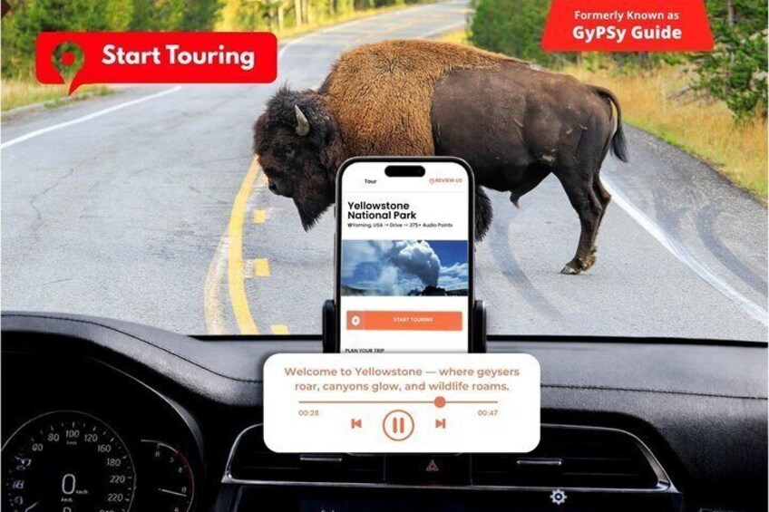 Self-Guided Audio Driving Tour in Yellowstone National Park 1