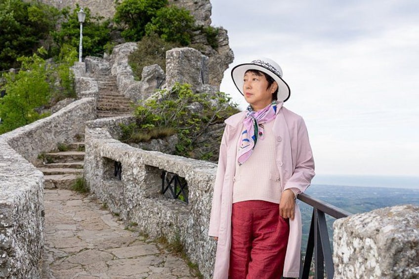 A person standing on a stone staircase overlooking a landscape. 2
