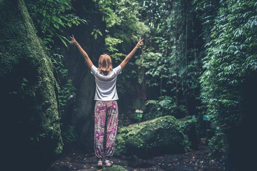 Bainbridge Island Serenity Forest Hike & Cultural Landmarks Tour 1